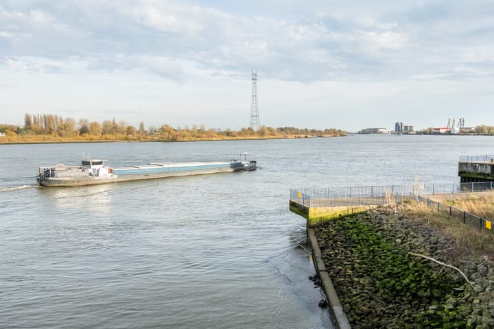 Foto 37 van Dokhof 37