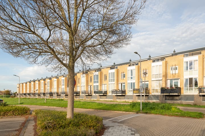 Foto 36 van Dokhof 37