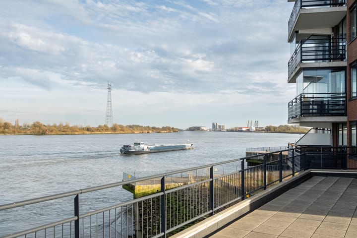 Foto 38 van Dokhof 37