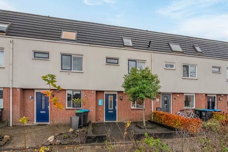 undefined main image