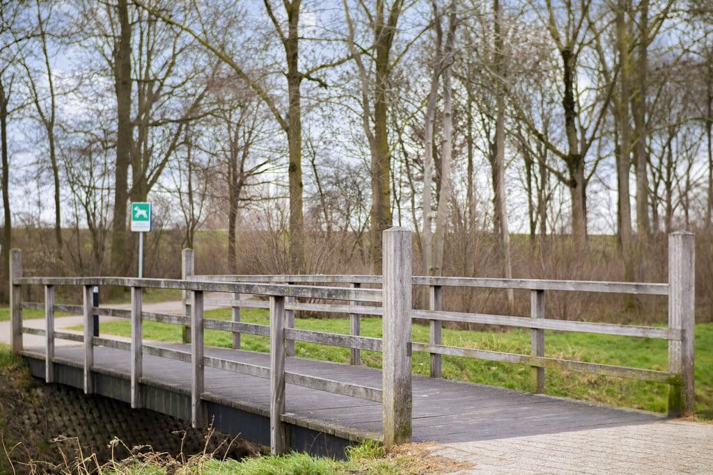 Foto 21 van Bloemstraat 23