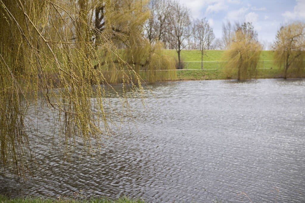 Foto 22 van Bloemstraat 23