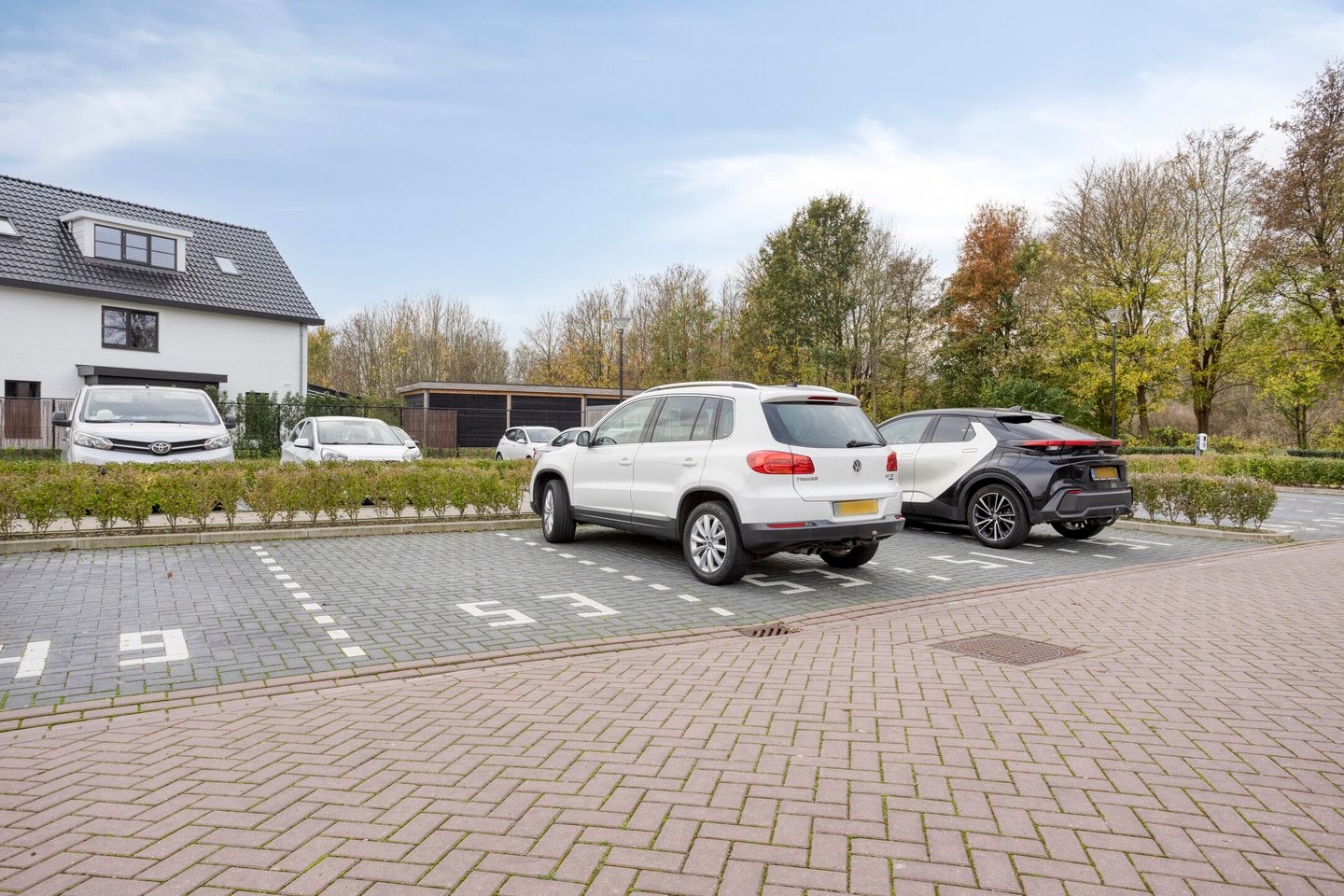 Foto 40 van Schieveen 53