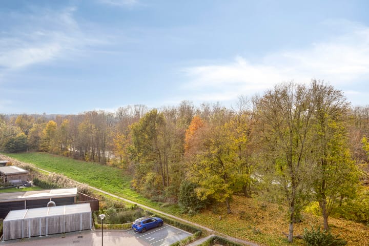 Photo 48 of Schieveen 53