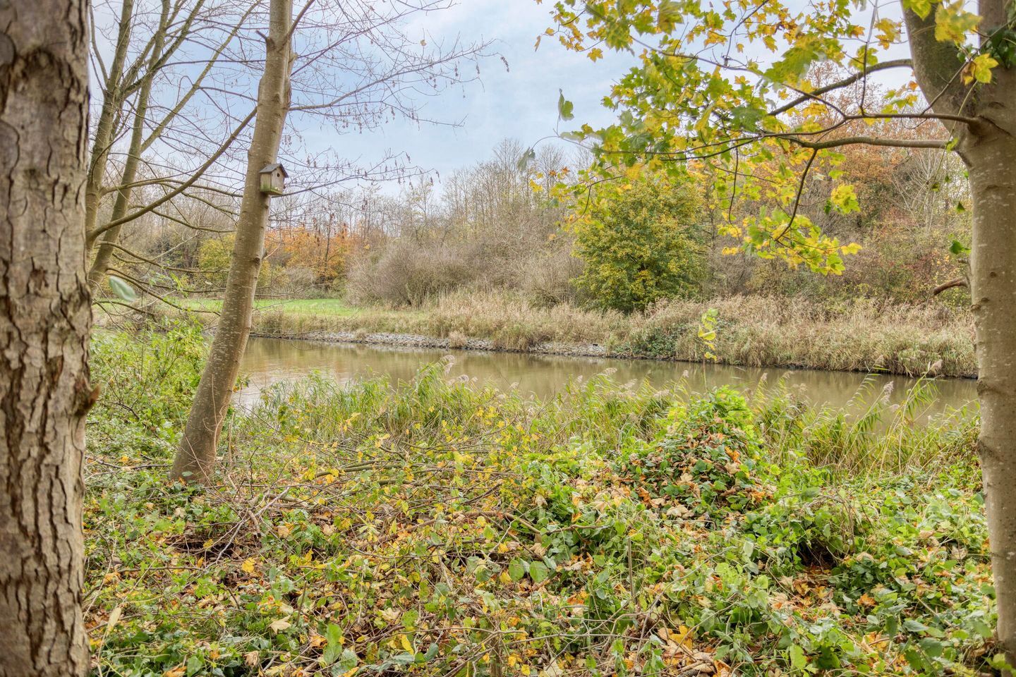 Foto 49 van Schieveen 53