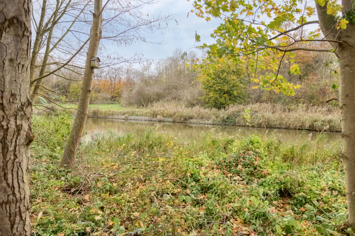 Photo 49 of Schieveen 53