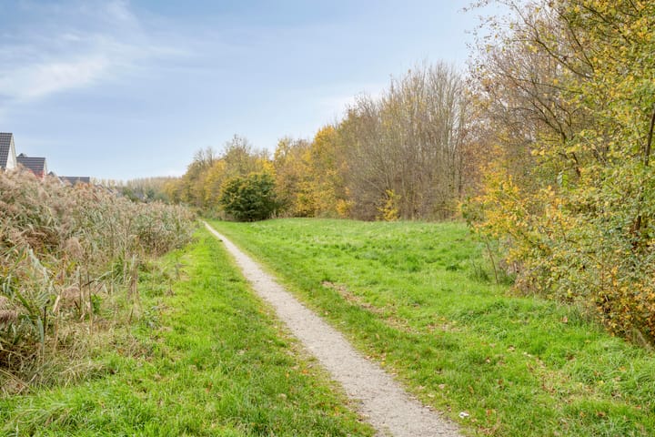 Photo 50 of Schieveen 53