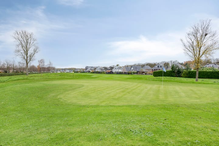 Photo 54 of Schieveen 53