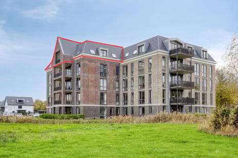 Schieveen 53 secondary image