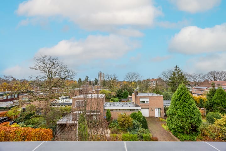 Foto 36 van Professor van Weliestraat 26