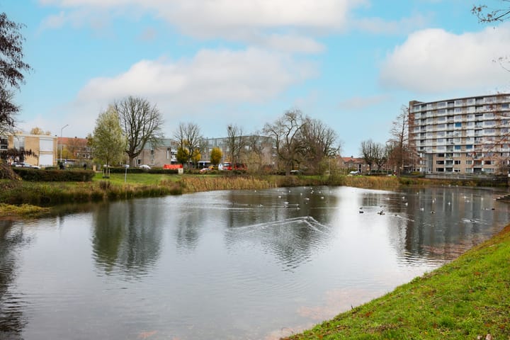 Foto 38 van Professor van Weliestraat 26