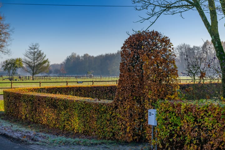 Foto 39 van De Els 20