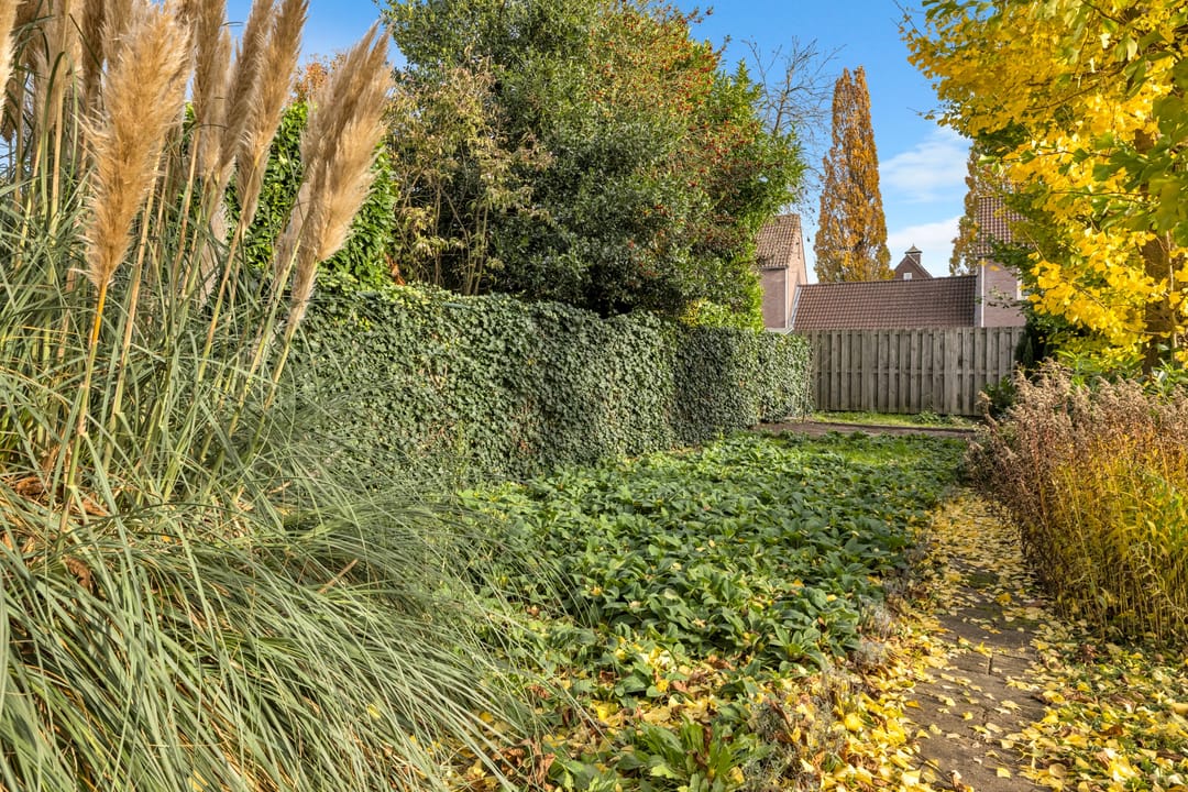 Foto 52 van Velgert 1