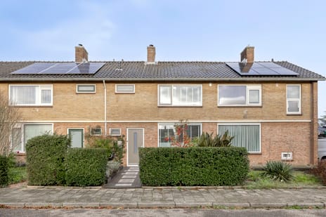 undefined main image