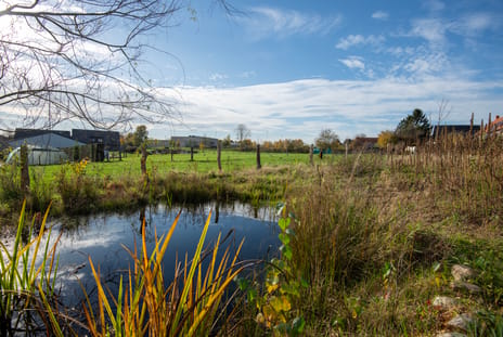 Nieuwe Fluitersmaatscheweg 20 tertiary image