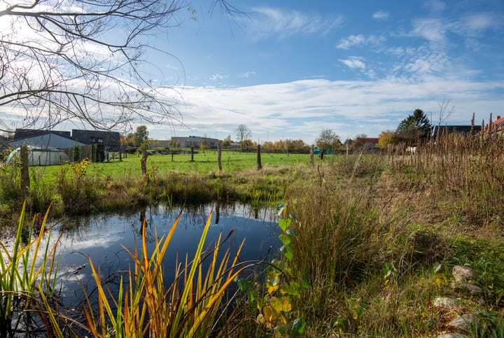 Photo 3 of Nieuwe Fluitersmaatscheweg 20