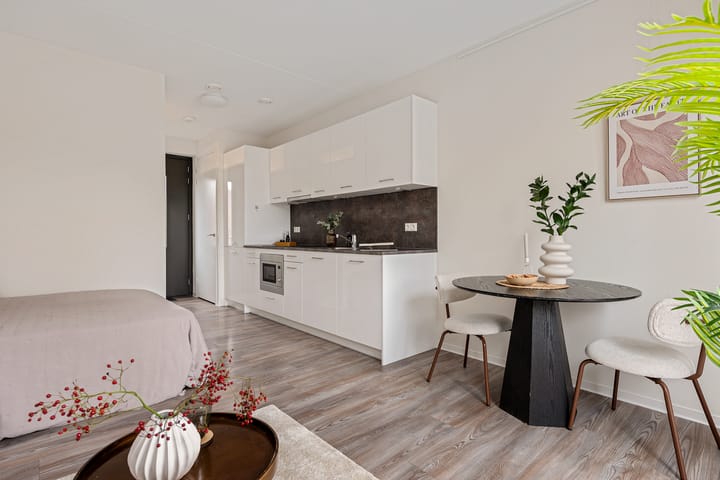 Photo 11 of Spoorlaan 450-33