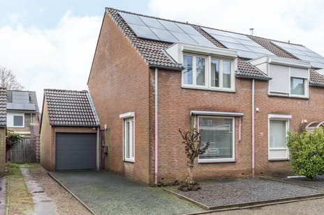 undefined main image