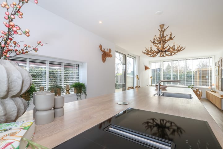 Photo 29 of Ligusterlaan 17