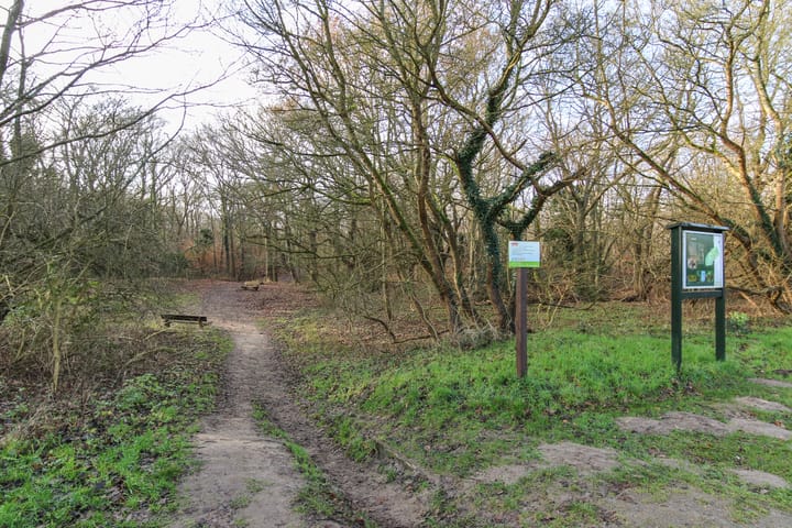 Photo 71 of Ligusterlaan 17