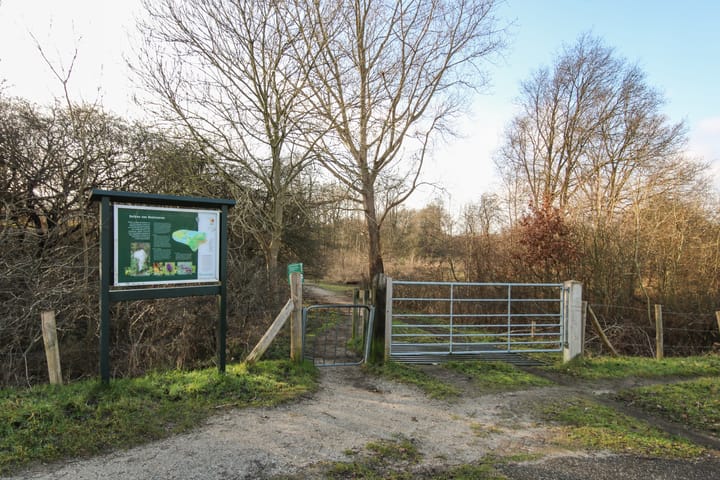 Photo 74 of Ligusterlaan 17