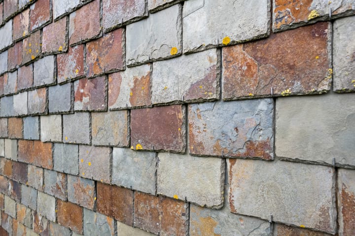 Photo 41 of Vuurboetsduin 64