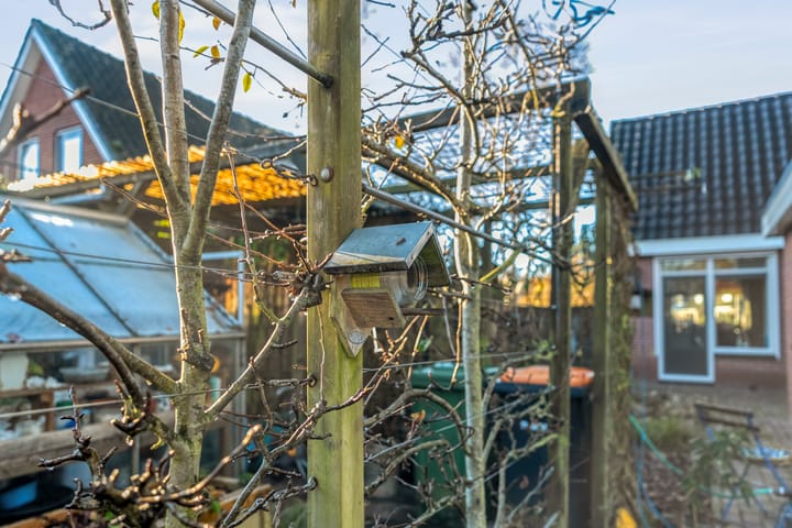 Photo 48 of Dreeslaan 6