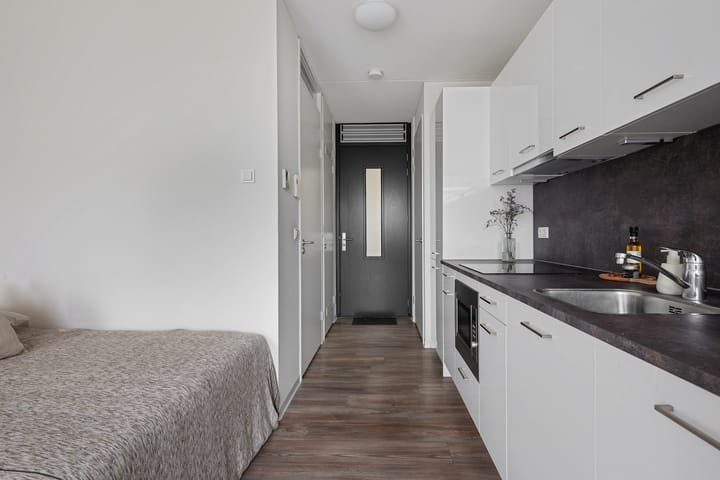 Photo 9 of Spoorlaan 450-56