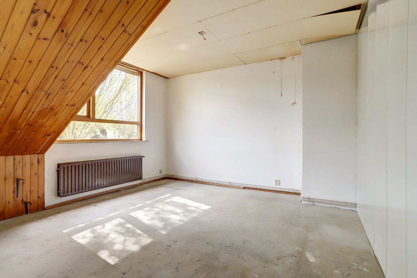 Photo 20 of Biezendreef 49