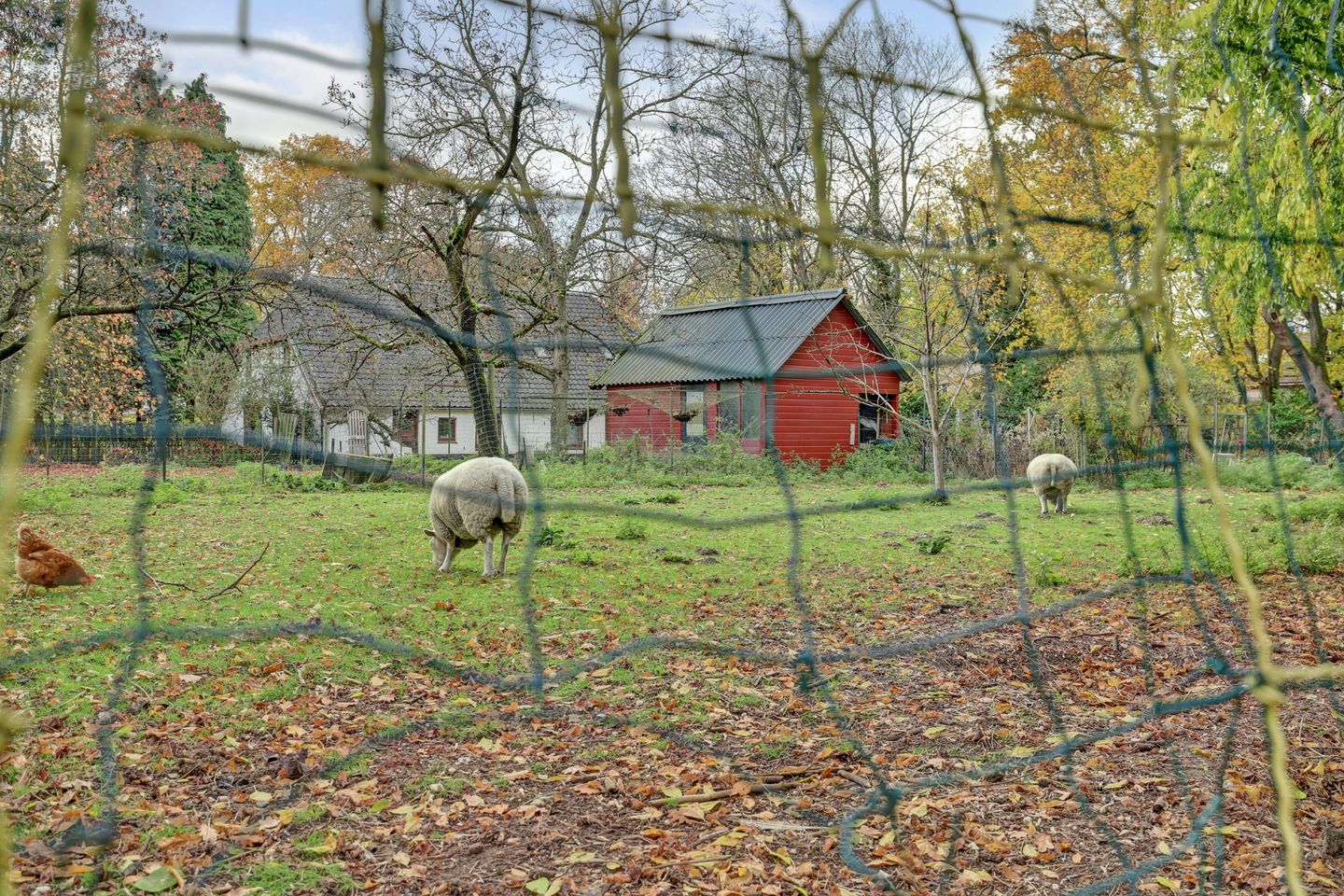 Foto 55 van Hatertseweg 645