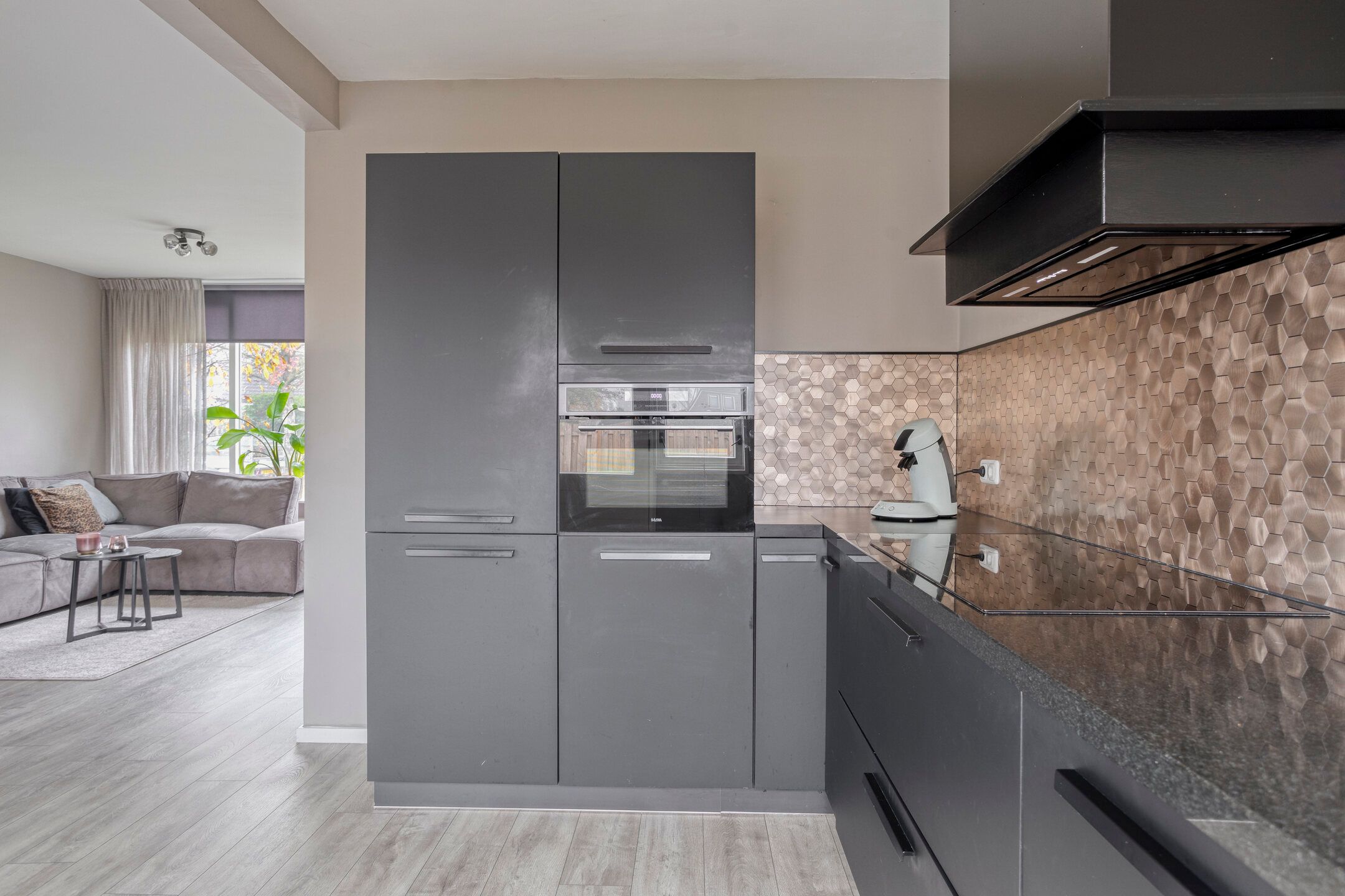 Foto 21 van Stegingaweg 24