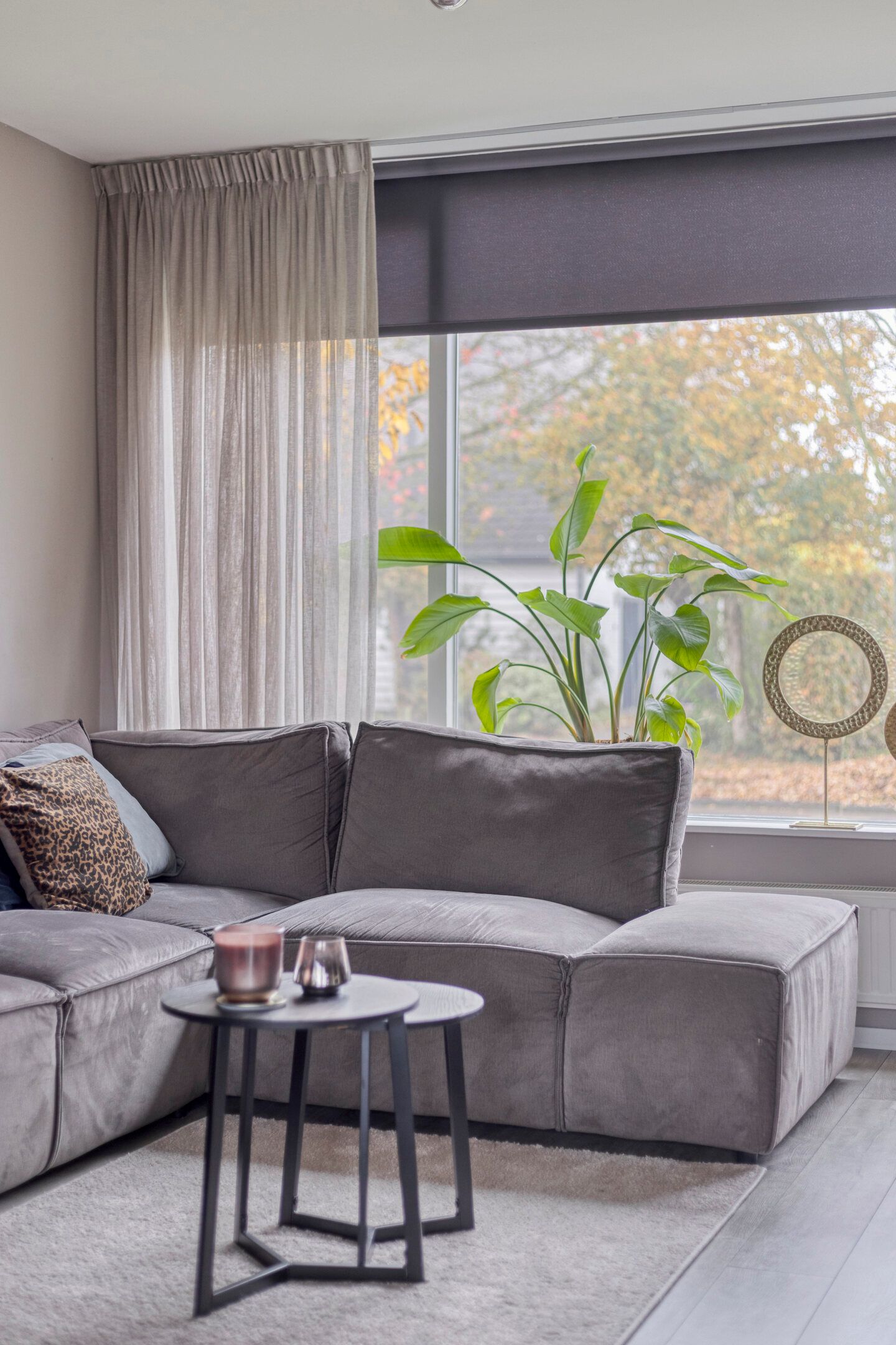 Foto 15 van Stegingaweg 24