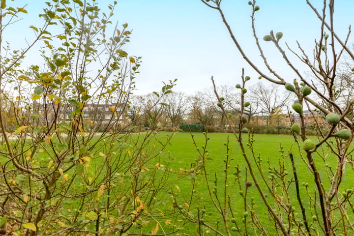 Foto 39 van Fagelstraat 40