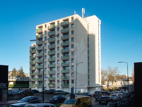 Zwanenveld thumbnail