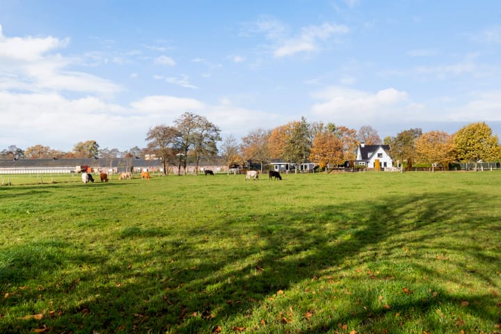 Photo 35 of Matenweg 7