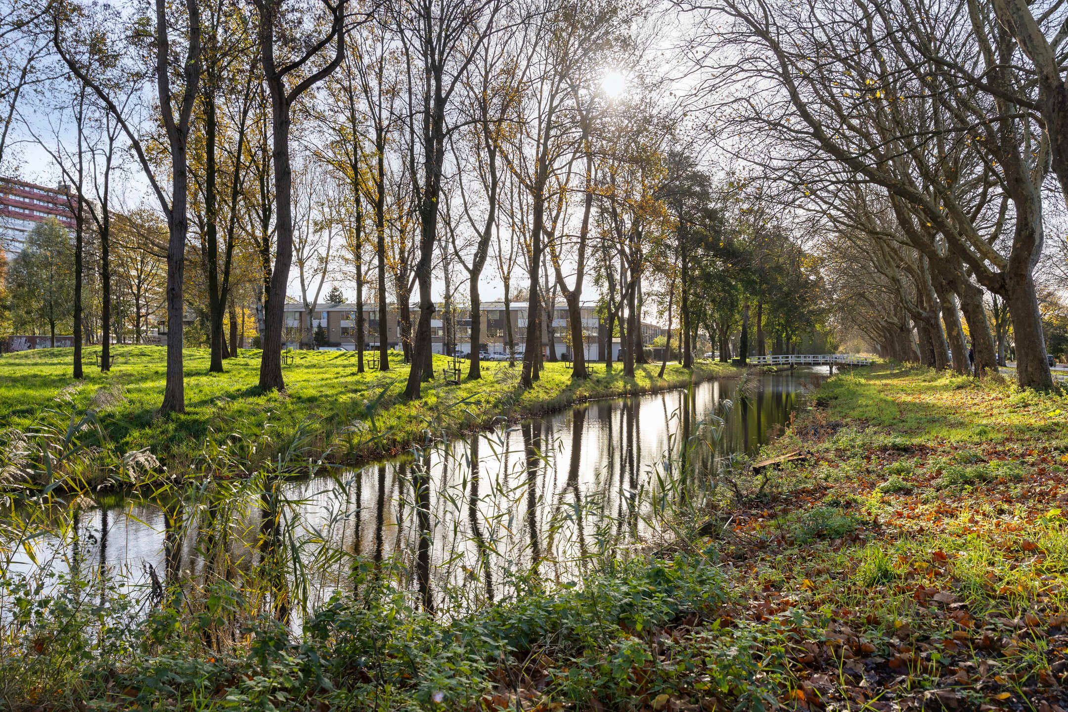 Photo 30 of Hoogaarslaan 109