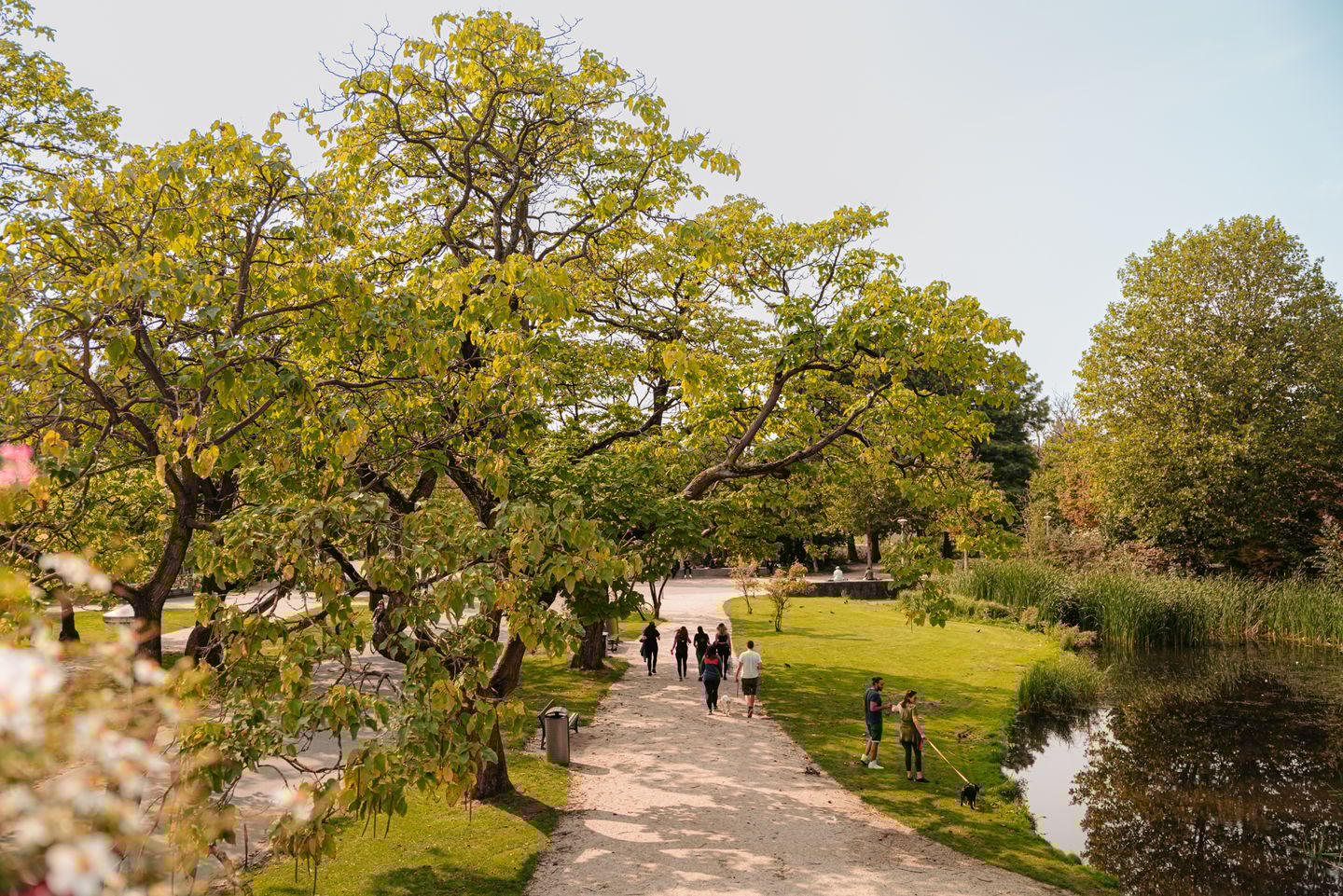 Foto 64 van Vossiusstraat 55