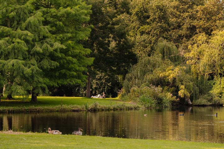 Foto 62 van Vossiusstraat 55