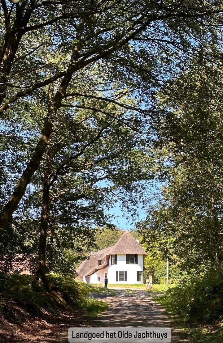 Foto 3 van Duivenslaagte 1