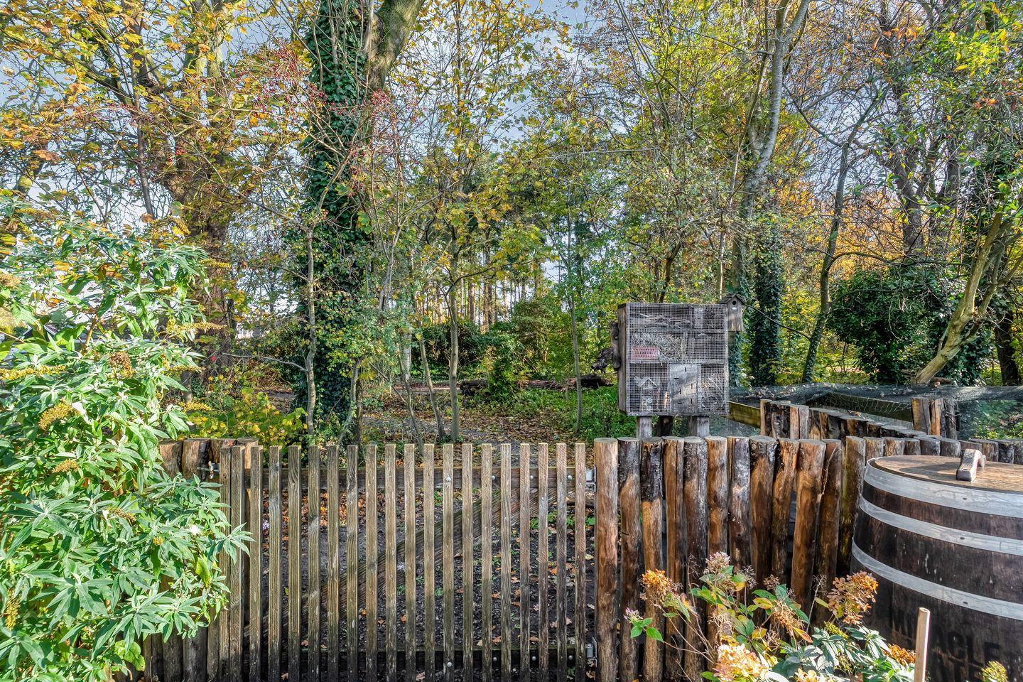 Foto 65 van Van Haeringenstraat 89