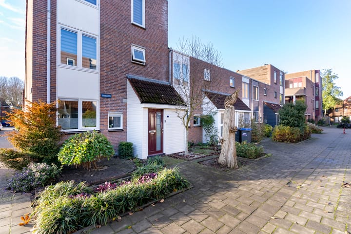 Photo 3 of Ringmus 1