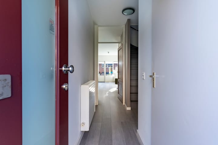 Photo 4 of Ringmus 1