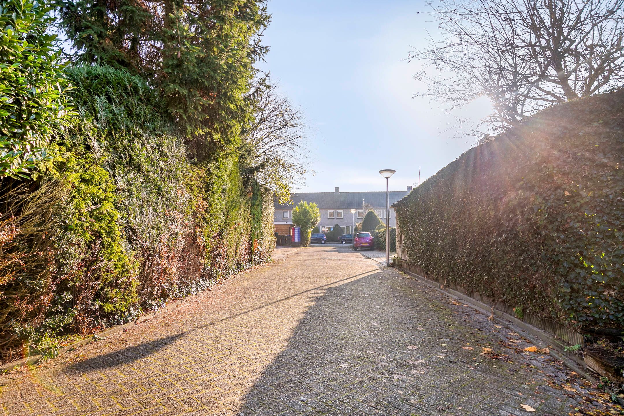 Photo 36 of Maanvlinderlaan 6