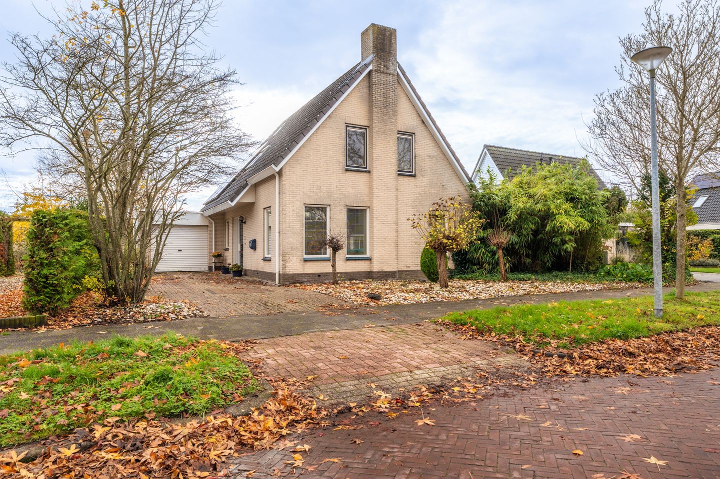 Foto 1 van Waterlelie 10