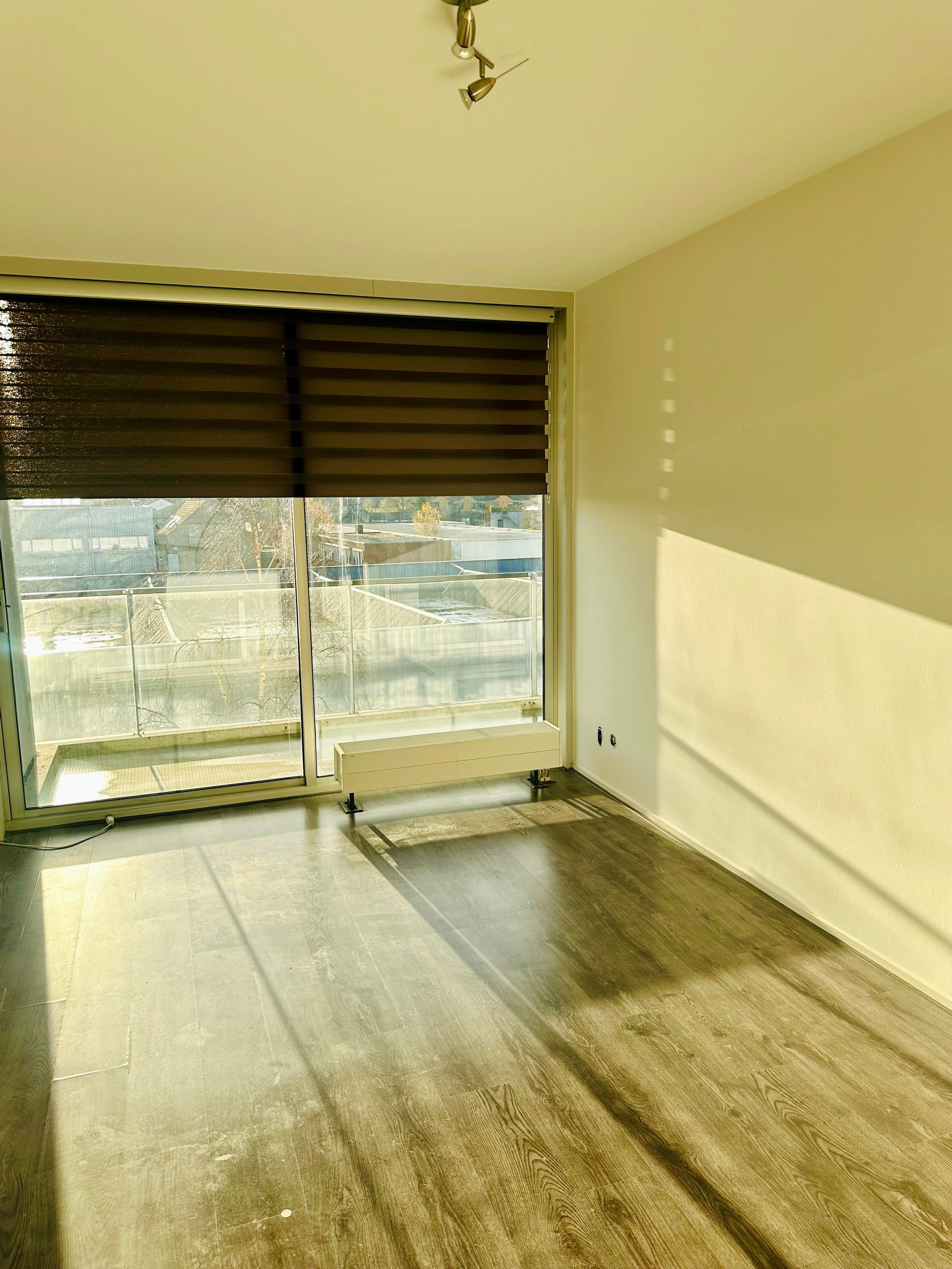 Photo 30 of Buys Ballotstraat 47