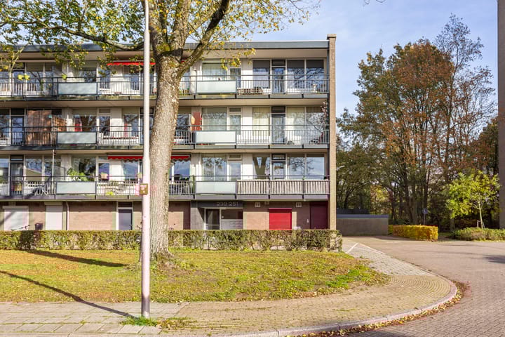 Foto 5 van Spreeuwenstraat 241