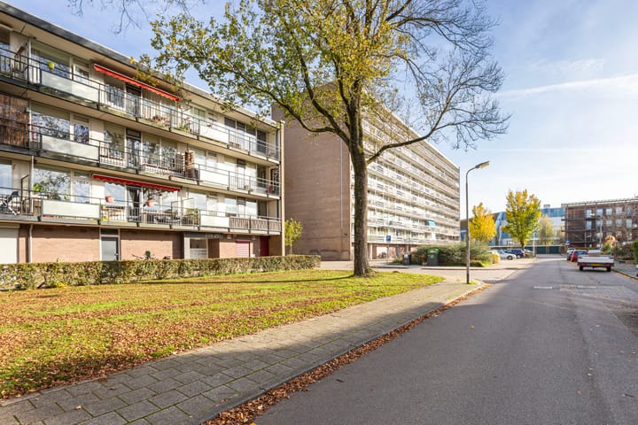 Foto 30 van Spreeuwenstraat 241