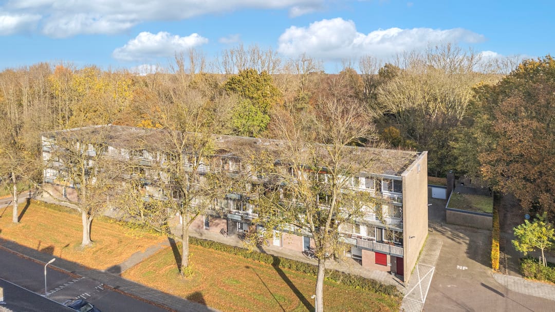 Foto 31 van Spreeuwenstraat 241