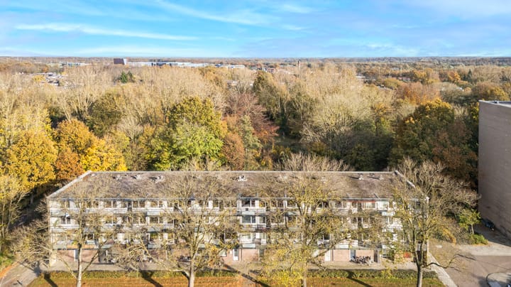 Foto 32 van Spreeuwenstraat 241