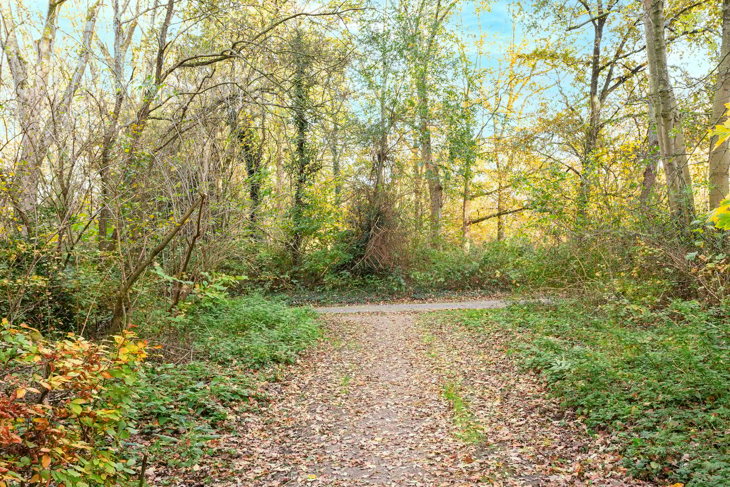 Foto 34 van Spreeuwenstraat 241